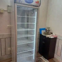 فریزر ایستاده فری لوکس