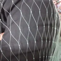 تور ماهیگیری
