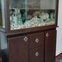 آکواریوم کمد دار