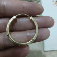 لنگه گوشواره ای گم شده طلا|جواهرات|کاشان, باغ فین|دیوار