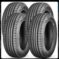 شش عدد لاستیک