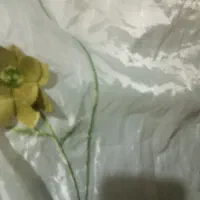 پرده اتاق خواب|پرده، رانر، رومیزی|اهواز, زیتون کارگری|دیوار