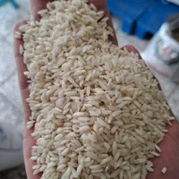 برنج عنبربو خوزستان|خوردنی و آشامیدنی|زنجان, |دیوار