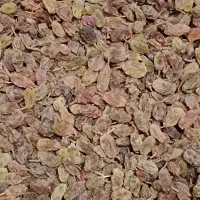 کشمش سایه خشک