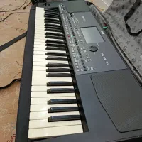 فروش ارگ pa600|پیانو، کیبورد، آکاردئون|بوشهر, |دیوار