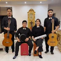 گروه سوپرایز تولد حرفه ای/ اجرای زنده موسیقی