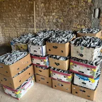 زغال پسته قلم سفید|عمدهفروشی|اردکان, |دیوار