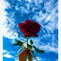 استخدام پرستار