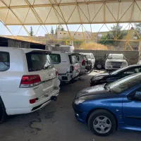 شاگرد نقاش|استخدام صنعتی، فنی، مهندسی|شیراز, دانشگاه شیراز|دیوار