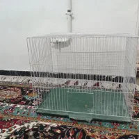 قفس نو سالم اولی ۵۰۰تومان دومی یکم کج شده ۴۰۰