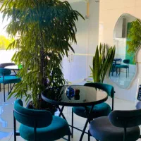 صندلی و میز