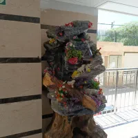 ابنما صخره ای
