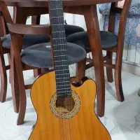 گیتار با کتاب و کیف