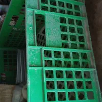 فروش سبد میوه و حمل مرغ