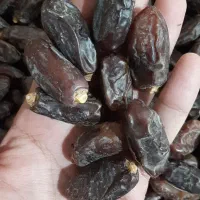 خرما ربی،مضافتی