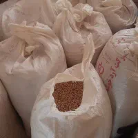 لوبیا چیتی درجه یک برداشت امسال|خوردنی و آشامیدنی|شهرکرد, |دیوار