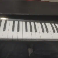 MELODIONمدلM-36|پیانو، کیبورد، آکاردئون|ارومیه, |دیوار