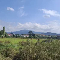 زمین در شهر سیاهکل