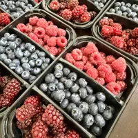 کارشناس فروش بازاریاب