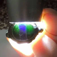 انگشتر یشم|زیورآلات و اکسسوری|مشگین شهر, |دیوار