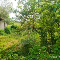 زمین مسکونی کلاچای نوده|فروش زمین و ملک کلنگی|کلاچای, |دیوار