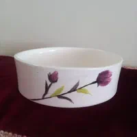 ظروفسرامیکیکاربردی