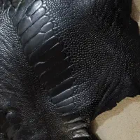 چرم ساق شتر مرغ