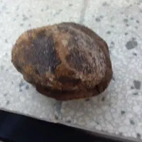 شهاب سنگ نایاب