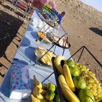 تشریفات مجالس|خدمات پذیرایی، مراسم|بجنورد, |دیوار