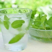 عرقیات نعناع خانگی