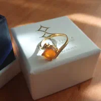 انگشتر نقره|جواهرات|سبزوار, فرهنگیان|دیوار