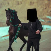 سیلمی اصیل کرد کهربا