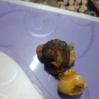 شهاب سنگ|کلکسیون اشیاء عتیقه|یاسوج, |دیوار