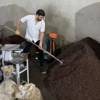 پخش کشمش حلوایی بیدانه مویز پلویی آفتاب خشک فخری|خوردنی و آشامیدنی|تاکستان, |دیوار