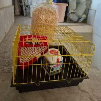 قفس خرگوش ،همستر ، غذای خرگوش ، جای ادرار خرگوش