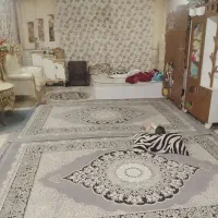خونه اجاره آپارتمان