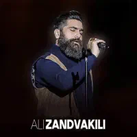 ۴عدد بلیت کنسرت علی زندوکیلی
