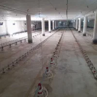 لوازم مرغداری کلیه تجهیزات