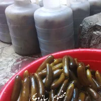 خیار شور ریز ویژه   ودبه ای مخصوص ساندویچی|خوردنی و آشامیدنی|سنندج, |دیوار