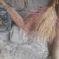 جارو