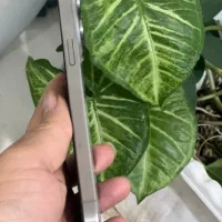 15promax 256 Zaa  بدون‌رجستر