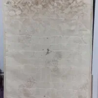 تشک تک نفره رویا