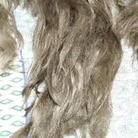 کلاه گیس طبیعی زنانه|آرایشی، بهداشتی، درمانی|فردیس, شهرک ۱۱۰|دیوار