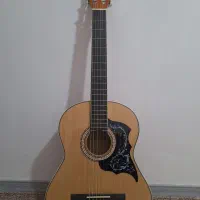 گیتار و کیف نو استفاده نشده به همراه برچسب