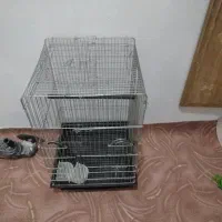 قفس بزرگ