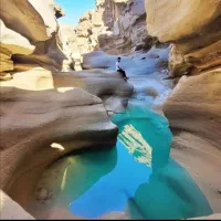 تور یک روزه VIP جاذبه های قشم|تور و چارتر|قشم, |دیوار