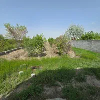 باغ و باغچه الوان با خانه باغ شهیدکلانتری ساریجالو|فروش دفتر صنعتی، کشاورزی، تجاری|ارومیه, |دیوار