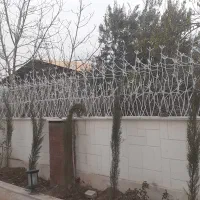 تولید حفاظ شاخگوزنی  آزادگان