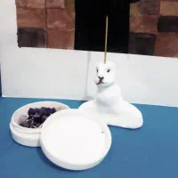 جاعودی وجاشمعی