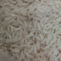 برنج هاشمی لاهیجان
